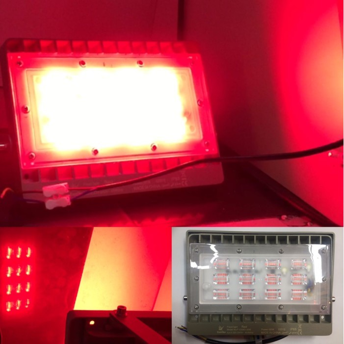 Flood Light Lampu Tembak Sorot 50 Watt 50W Warna Merah Red Led Smd Outdoor Lampu Panggung Pameran
