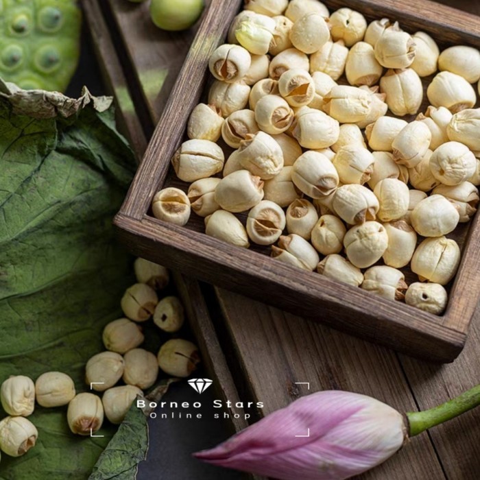 

Biji Teratai Alami/Dried Seeds Lotus/