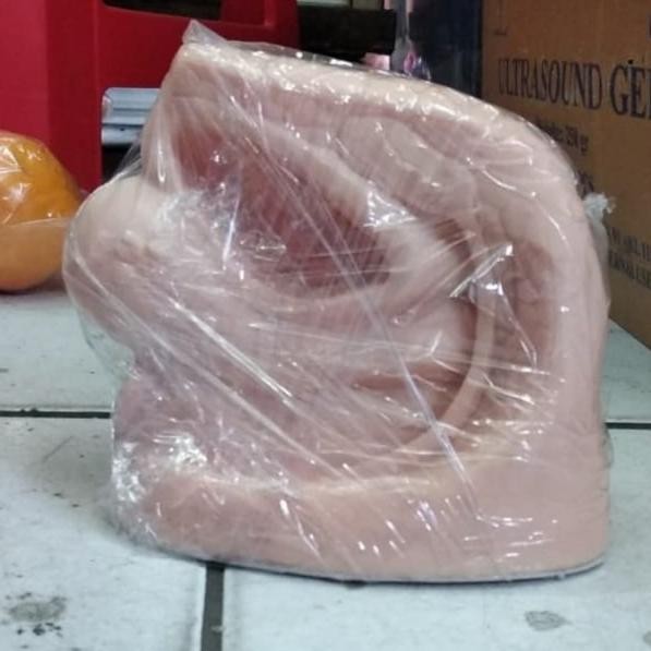 Phantom Kateter Wanita Alat Phantom Catheter Cewek Manekin Manikin