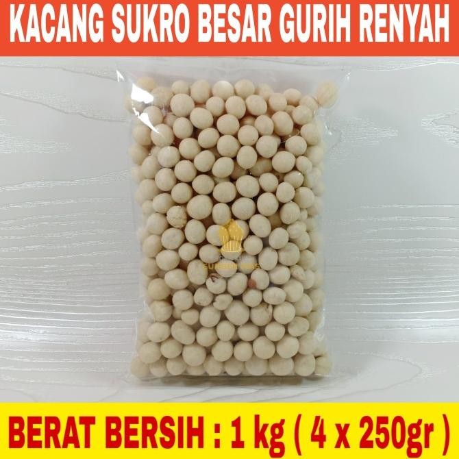 

KACANG SUKRO BESAR 1KG