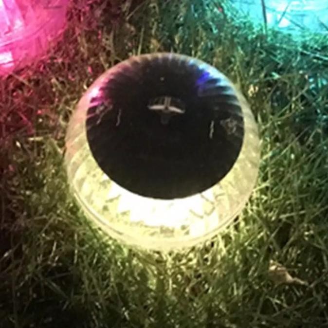 Lampu Apung Tenaga Surya Anti Air Untuk Taman Kolam Renang