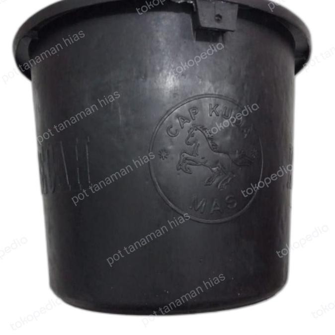 PREMIUM POT TANAMAN KARET CAP KUDA MAS 32 ORINAL / POT BUNGA BUAH