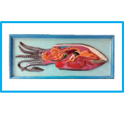 Model Belahan Cumi-Cumi