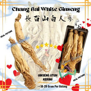 

Ginseng Kering Utuh Chang Bai 18-20g | Herbal Makanan Sehat & Suplemen Vitalitas
