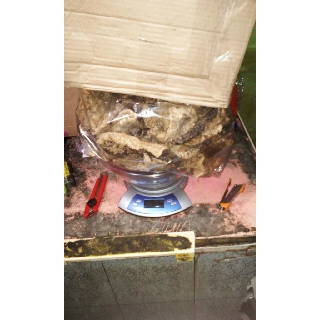 

KRUPUK KULIT IKAN PATIN