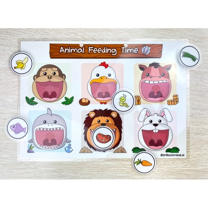 

ANIMAL SERIES ACTIVITY BINDER
