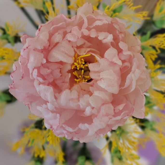 

New Sale Wafer Paper Class Online Limited Edition