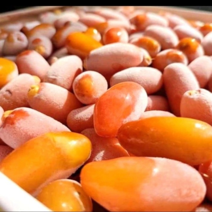 

RUTHOB LIBYA ORIGINAL / KURMA MUDA KEMASAN 250g