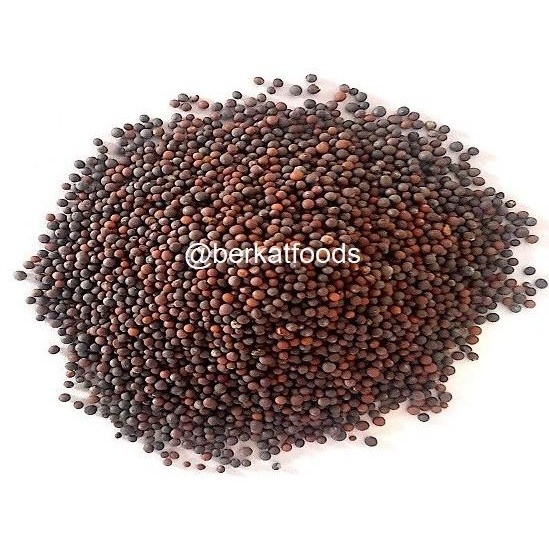 

!!!!!!] Black Mustard Seed / Biji Sawi Hitam Import / Rai Seeds