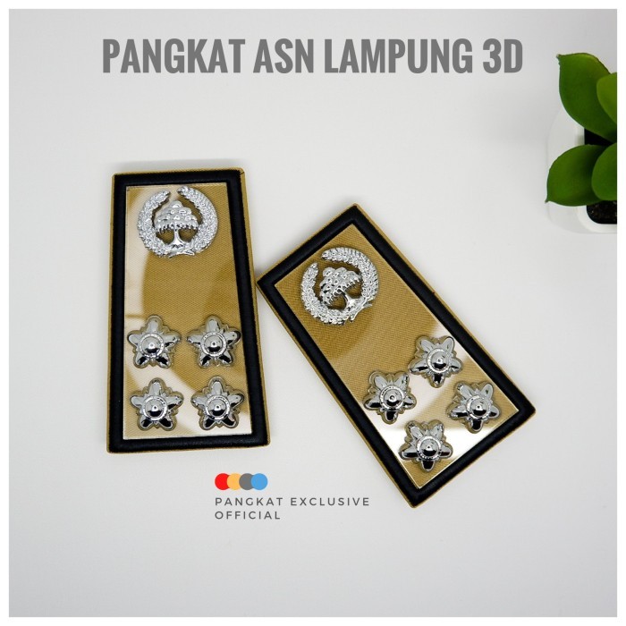 Town Pangkat Asn Lampung 3D