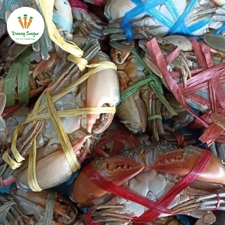 Kepiting Bakau Hidup - 500gram