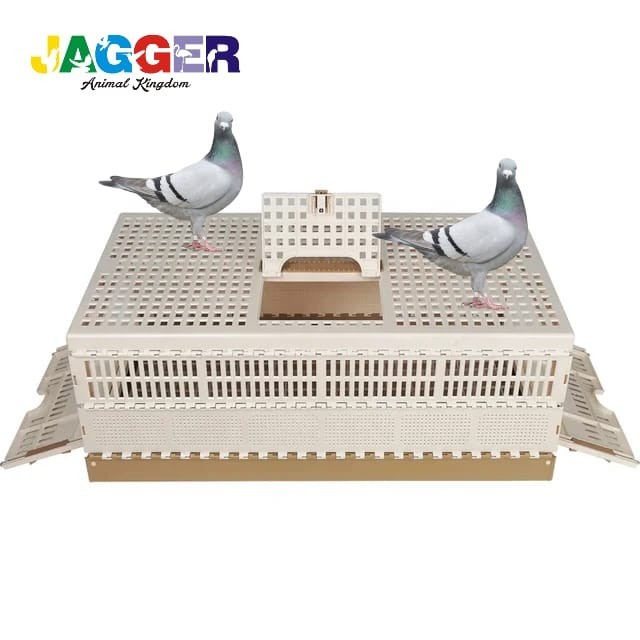 Sale Terbatas Dongdang Merpati Pos Kurungan Kotak Bawa Burung 3 Pintu Kandang Lipat Aman