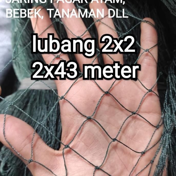 

READY JARING PAGAR AYAM 2X43 METER LUBANG 2X2 BISA UNTUK PAGAR TANAMAN DLL