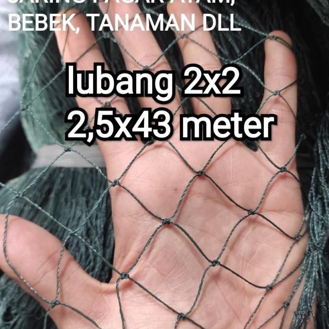 

READY JARING PAGAR AYAM 2,5X43 METER LUBANG 2X2 BISA UNTUK PAGAR TANAMAN DLL