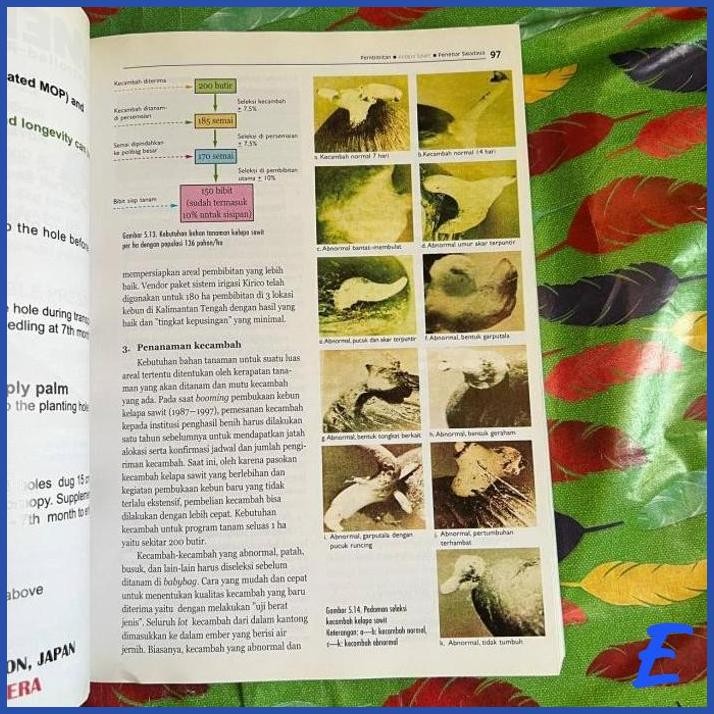 | JNB | BUKU PANDUAN LENGKAP KELAPA SAWIT - IYUNG PAHAN (ORIGINAL)