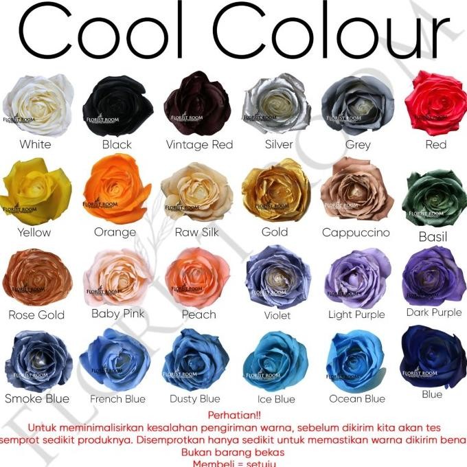 

Siap Kirim Cool Color Pewarna Bunga - Barang Florist