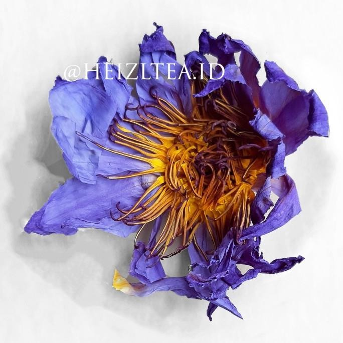 

Siap Kirim HEIZL Dried Blue Lotus Flower Bunga Lotus Biru Kering Smoke n Tea 25gr