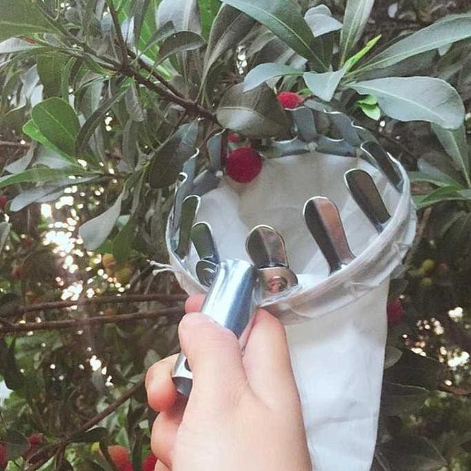 

CO Power Hand - Petik Buah Jadi Mudah