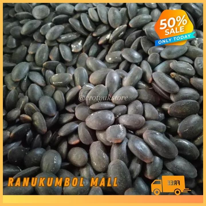 

BIJI KEDAUNG KERING KUALITAS BAGUS BIJI KEDAWUNG 1KG RANU KUMBOL MALL BEST PRODUCT!