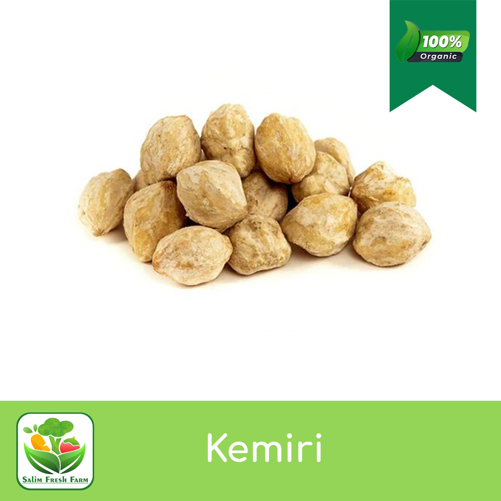 

Kemiri / Kemiri 250gram / Muncang Kemiri
