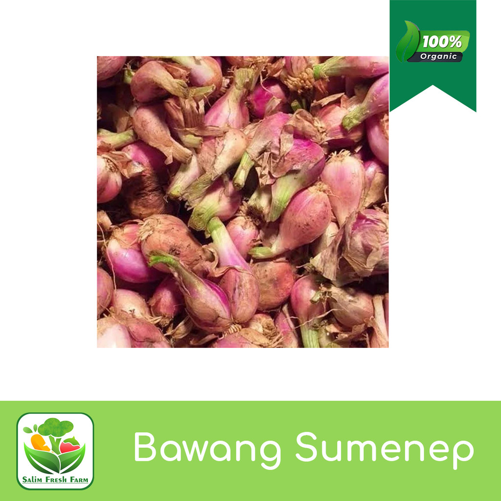 

Bawang Sumenep / Bawang Sumenep 1kg / Bawang Sumenep Super / Bawang Sumenep Murah