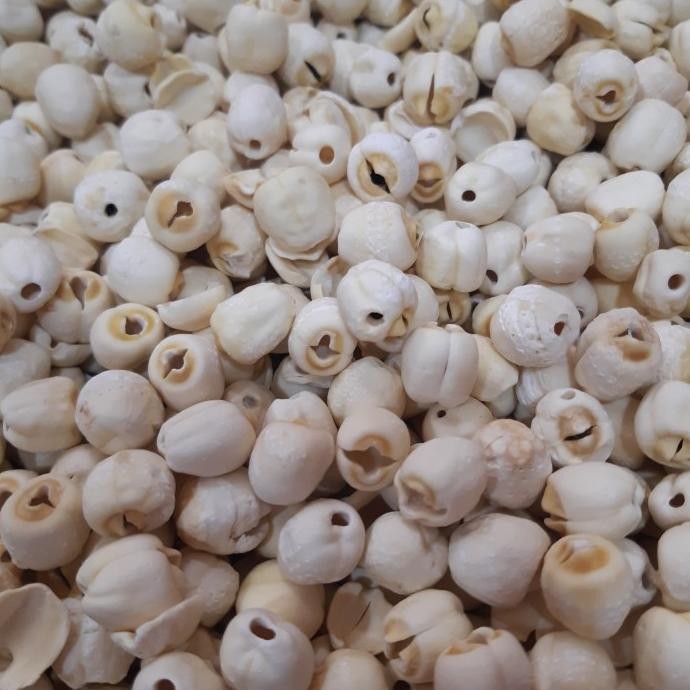 

+%+%+%] 500gr Biji Teratai (PREMIUM BESAR) / Lian Zhi / Lienci / Bai Lian zi