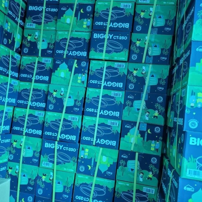 (Good) TOPLES BIGGY 500 Gram BIGGY CT 250