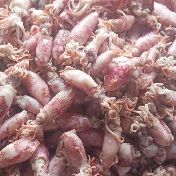 

ikan asin cumi beby/cumi asin beby/beby cumi asin 500gr HP