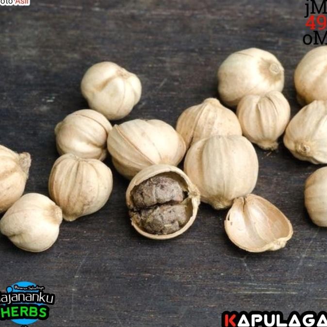 

Kapulaga Kering 1kg Kapol Putih Alami Hasil Sortir Cucian Air Bersih murah