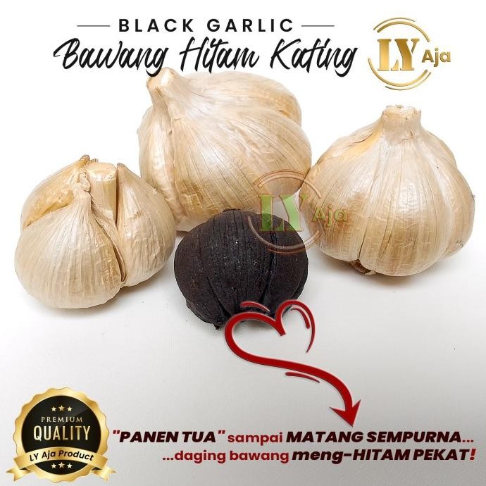

Bawang Hitam Kating Black Garlic Sweet Bulbs LY Aja 500 Gram Ekonomis murah