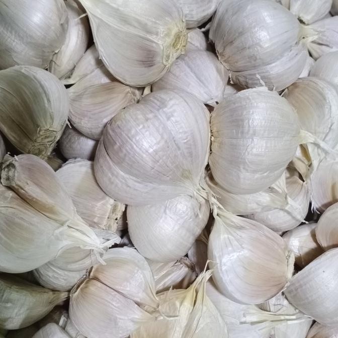 

Bawang Putih Kating Bersih 1 kg murah