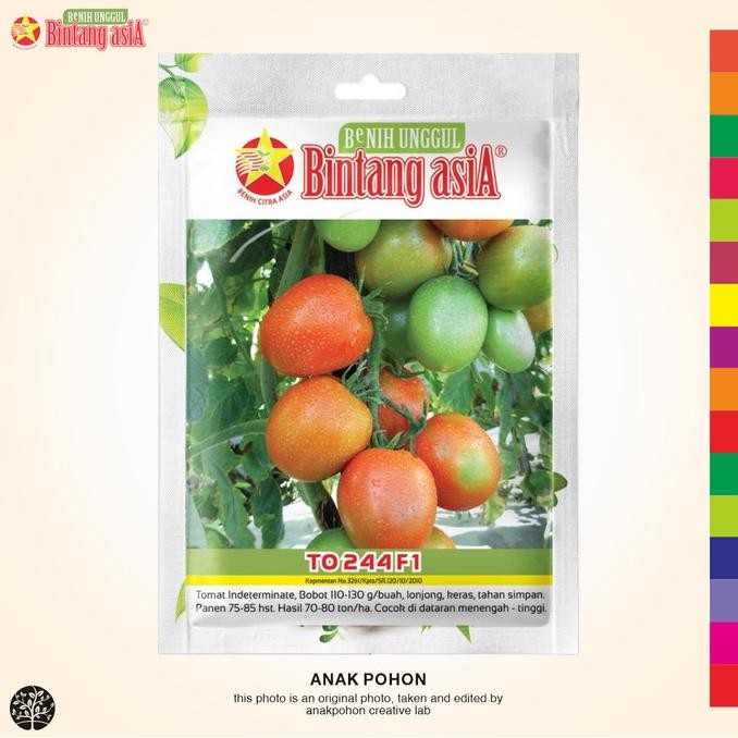 (1 PACK) Benih Tomat TO 244 F1 Lonjong Indeterminate Seeds -0,5 GRAM murah