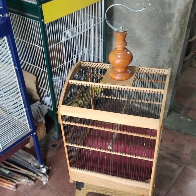 sangkar penjinakan burung wambie,poksay,dll terlaris murah