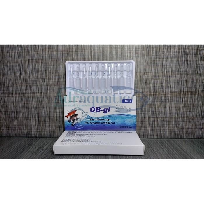 1 Botol Hcg Ob-Gl (Isi 1 Ampul) Obat Pemijahan Ikan Hias Hormon Original Dan Terpercaya