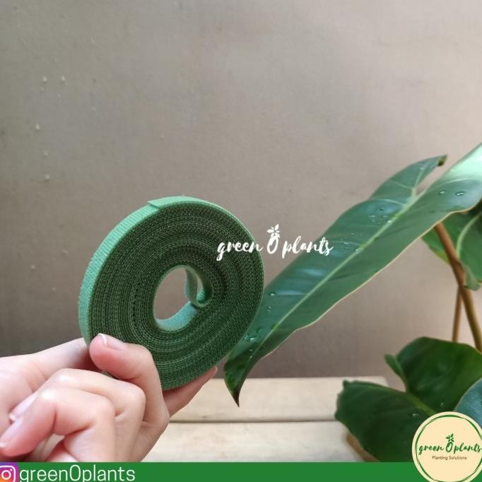 Velcro Ikat Tanaman murah