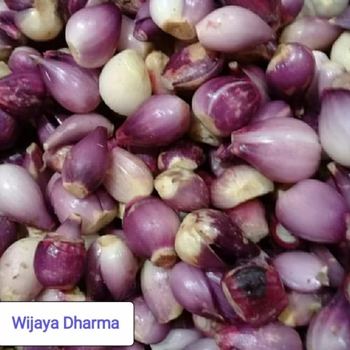 

BAWANG MERAH KUPAS murah