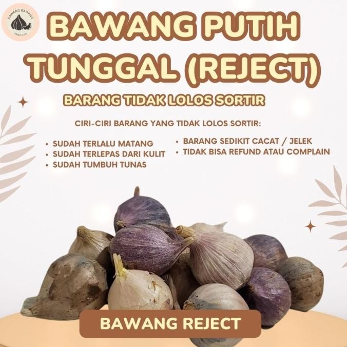 

Bawang Putih tunggal Reject (hasil buang dari sortir) 1KG [terbaik]