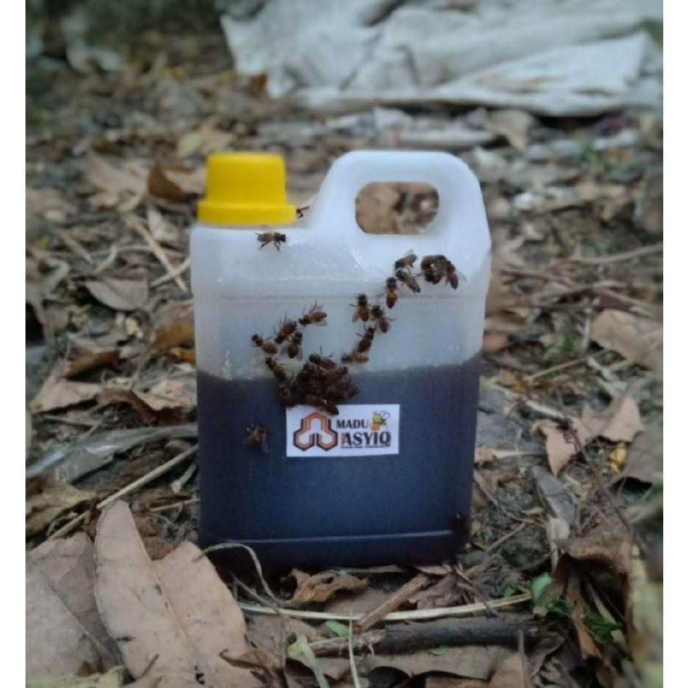 

Madu Asli Liar Hutan Apis Dorsata 1 kg
