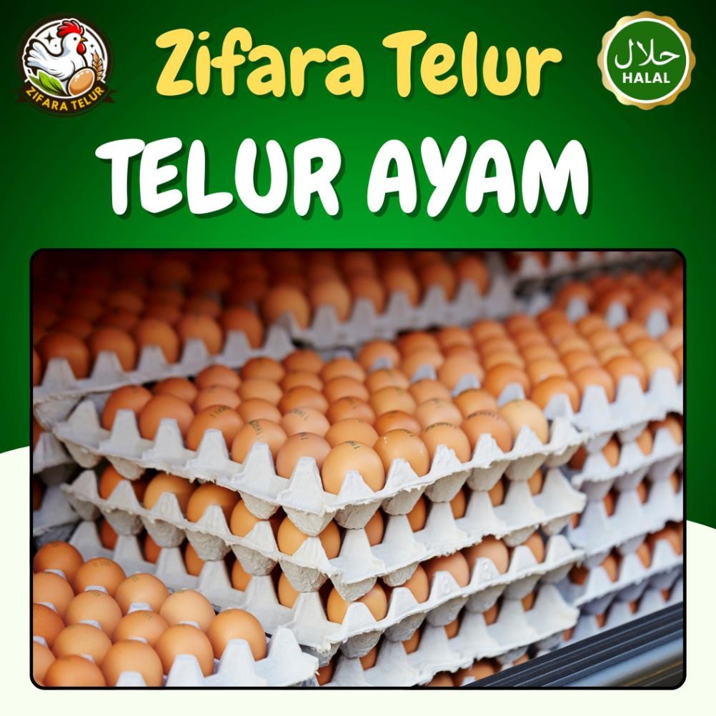 

Dvc-78 Zifara Telur - 1 Tray Telur Ayam Negeri Omega Isi 30 Butir Premium