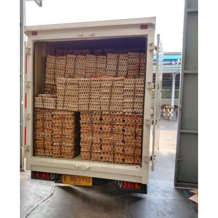 

Hj-45 Telur Ayam Omega Organik 30 Butir Hen-Hen
