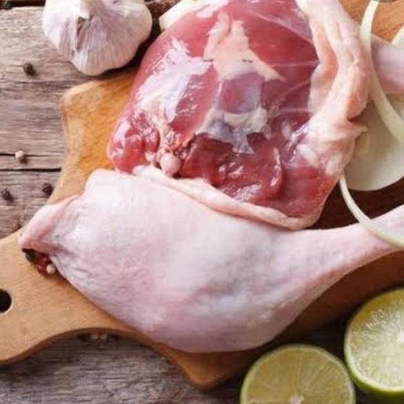 

daging paha bebek murah banget murah