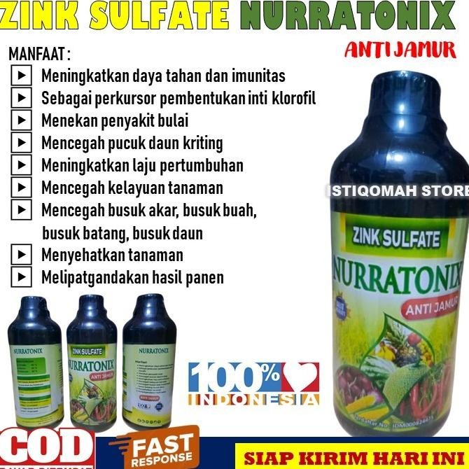 Kekinian 100% Ampuh Pupuk Cair Obat Semprot Pucuk Daun Kriting Pada Tanaman Cabe Cabai Zink Nurraton