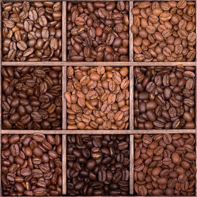 

Promo Kopi Costa Rica Don Mayo Los Tucanes Geisha Anaerobico Coffee - 100% Arabica