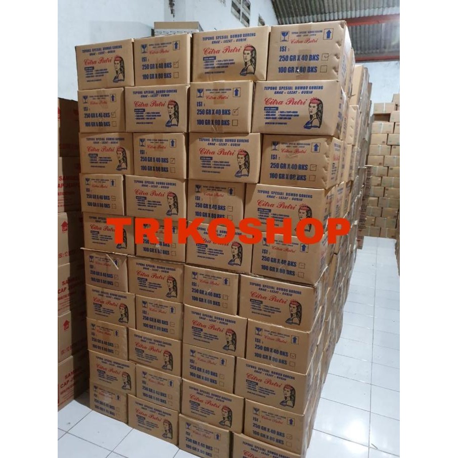 

Tepung Bumbu Serbaguna Citra Putri 250Gr Dus An Isi 40 Pcs
