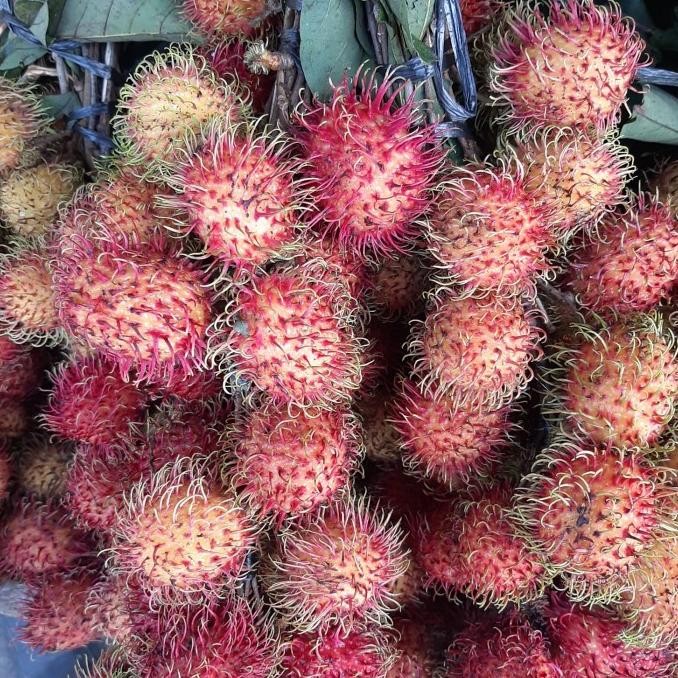 

rambutan binjai 2 ikat nUg