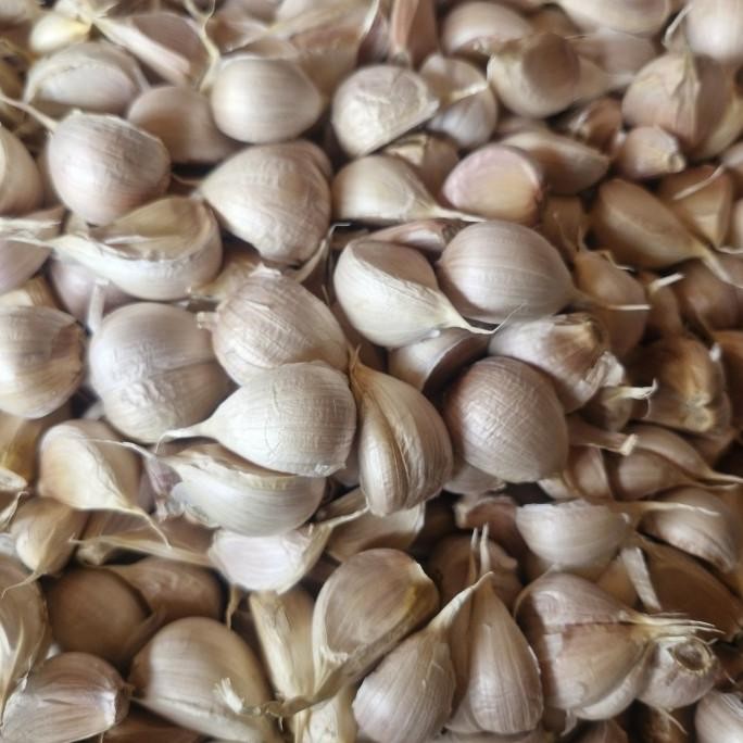 

Bawang Putih Kating Bersih, 1kg dan 1/2 kg nUg
