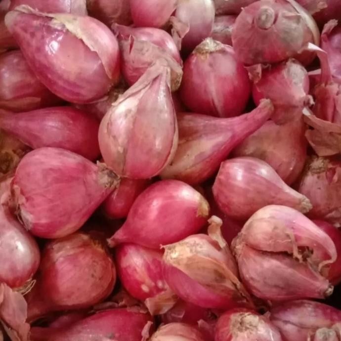 

Bawang Merah Brambang Brebes 250 gram nUg