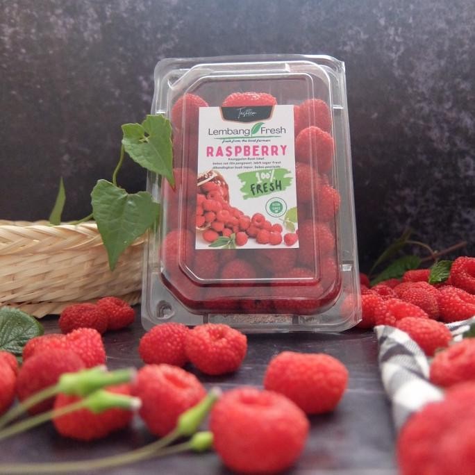 

Red Raspberry Buah Segar Berry Grade A Lembang Fresh Bandung seed nUg