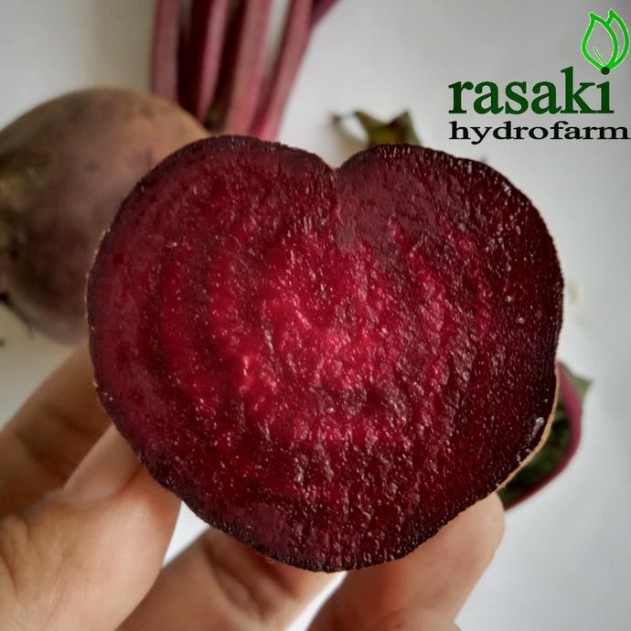 

buah bit / beetroot segar organik merah 500gr nUg