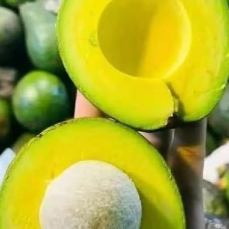 

Camilan Kering Alpukat Mentega Kuning 1kg Isi 3-4 Biji Kualitas Super - Food, Snacks nUg